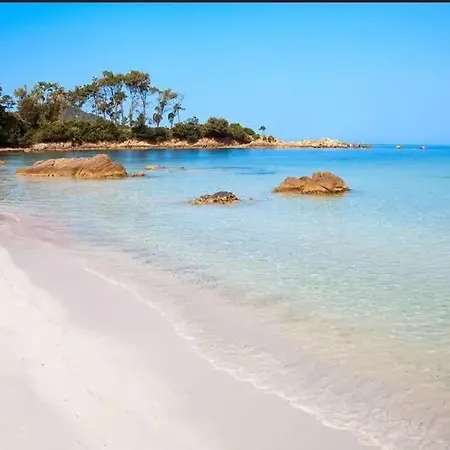 Apartament Loft De Standing 150 M2 Vue Mer,de 2 A 6 Pers A Mare E Sole D'argent Verghia *