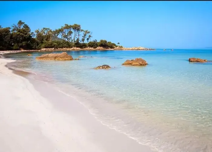 公寓 Loft De Standing 150 M2 Vue Mer,de 2 A 6 Pers A Mare E Sole D'argent Verghia *